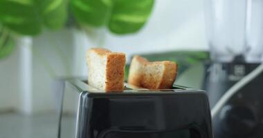 Toaster crafts two fresh, crispy pieces against flower backdrop, epitome delicious. Scene captures essence delicious, presenting visual taste feast that celebrates simple pleasures delicious food. video