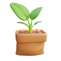 plant in a pot on a transparent background png
