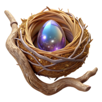 wonderful artistic Empty Bird Nest in Tree Branch Transparent Background original png