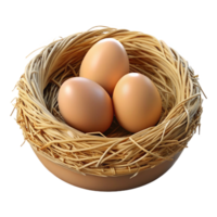 dramatic creative Bird nest empty authentic png