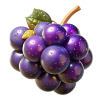 serene contemporary Purple Grape Single Fruit Stem Attached Isolated Cutout original png