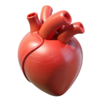 beautiful abstract Heart with anatomical accuracy, authentic png
