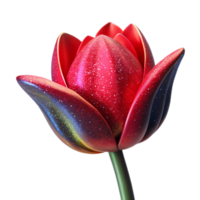 impressive minimalist Single Tulip Front View Isolated Element exclusive png