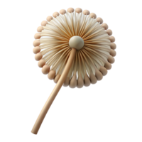 beautiful abstract Single dandelion seedhead high resolution png