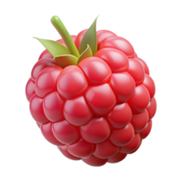 dramatic minimalist Single raspberry ripe and red 4K png