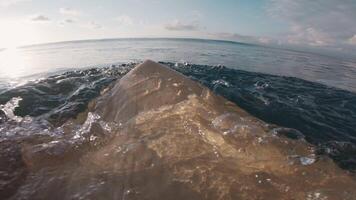 Professional surfer first person view paddling on surfboard in ocean. video