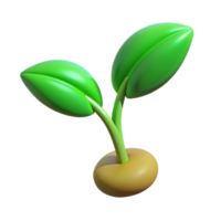 elegant classic Green sprout with two leaves authentic png