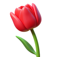 stunning minimalist Single red tulip flower professional png