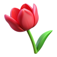 serene artistic Single red tulip flower high quality png