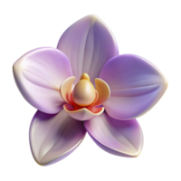 serene rustic Orchid flower high resolution png