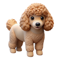 stunning modern A Poodle with curly fur high resolution png
