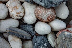 Collection of Colorful Smooth Pebbles on a Riverbank photo