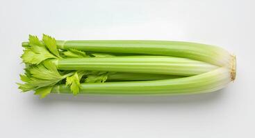 celery isolated on white background with shadow. fresh celery stick full of vitamins. celery vegetable photo