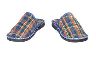 Checked slippers over white 3 photo
