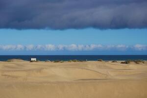 Sand dune with a beach at the background in Maspalomas, Gran Canaria photo