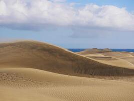 Dune with a sea at the background in Maspalomas, Gran Canaria. Wind is blowing sand grains away photo