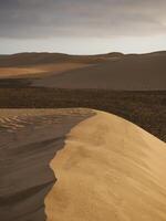 Sand dune at the sunset in Maspalomas, Gran Canaria Spanish island photo