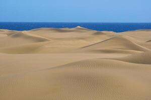 Sand dune with a sea at background in Maspalomas photo
