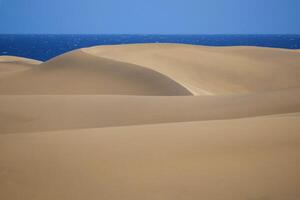 Sand dune with sea at the background in Maspalomas, Gran Canaria photo