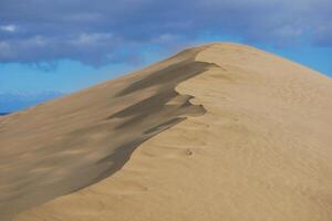 Sand dune in Maspalomas, Gran Canaria. Wind is blowing away sand grains photo