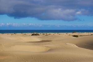 Sand dune with the sea beach at the background in Maspalomas, Gran Canaria photo