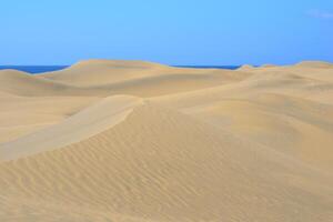 Sand dune with a sea at the background in Maspalomas, Gran Canaria. Sand barkhan with a wavy pattern photo