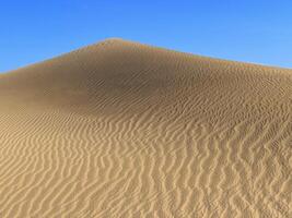Sand dune in Maspalomas, Gran Canaria. Sand barkhans with a wavy pattern photo