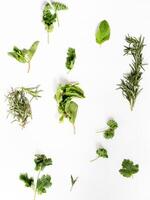 Appetizers on a white background photo