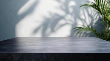 A black table and a plant in the background. 1 photo