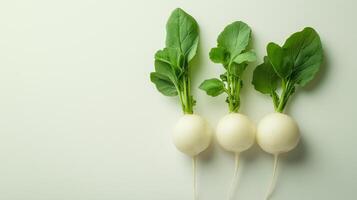White radishes with green leaves, fresh and plump vegetables. 6 photo