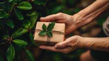 Close up of hands - grandmother giving a wrapped small teak that needs to be planted. 1 photo