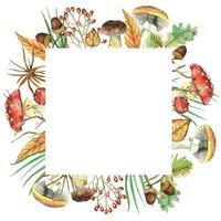 Square frame of forest mushrooms. Fly agarics, birch boletes, porcini mushrooms, acorns, oak leaves, pine needles, berries. All objects are hand-painted with watercolors. For printing on paper vector
