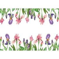 Rectangular frame of iris flowers purple and pink flowers with green foliage. All objects are hand painted with watercolors. Suitable for printing on cards, invitations, for printing on fabric vector
