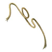 Rope, cord twisted in a knot, twine hand painted with watercolor in brown color. Watercolor illustration. Suitable for printing on paper, fabric, for scrapbooking and design vector