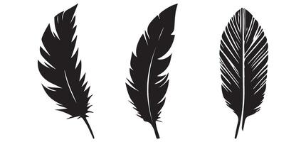Feather Illustration Set for Writing and Artistic Graphic Design vector