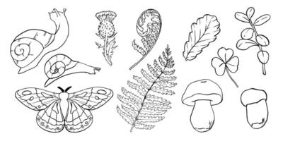 Sketch of forest plants set. Moth, snail, mushrooms and grass illustration. Botanical Pen and Ink Drawing. Fern painted by black inks in line art style. Hand Drawn Thistle outline. EPS10 vector