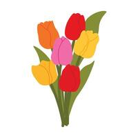 Bouquet of fresh yellow, red and pink tulips. Floral illustration in a soft, elegant style for spring holidays and Mother's Day vector