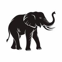 An elephant is standing in front of a white background vector