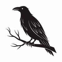 A black raven sitting on a branch vector