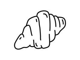 A black and white drawing of a shell vector