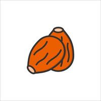 Two almond nuts icon in a line style vector