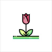 A pink tulip flower on a green stem vector