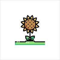 A sunflower with a cookie on it vector