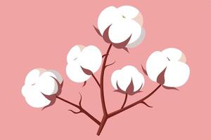 Stylish Cotton Branch with Soft White Bolls on a Light Pink Background vector