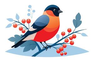 Stylized Bullfinch Bird on Branch with Berries, Flat , White Background vector