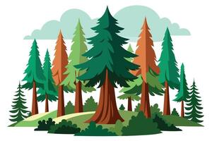 Forest with Evergreen and Brown Trees on White Background vector