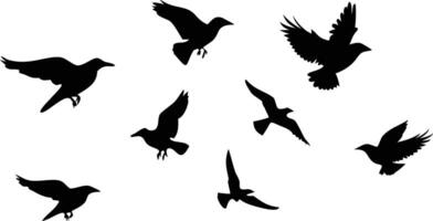 Silhouette Flying Birds on Transparent Background, Bird Group, Wildlife Design vector