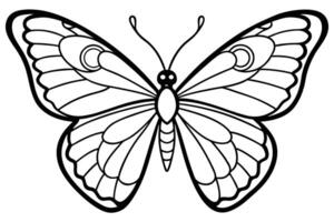 Butterfly Outline with Intricate Wing Patterns on Transparent Background vector