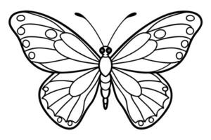 Butterfly Line Art Illustration, Outline Design with Open Wings, Detailed Wing Patterns vector
