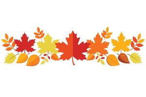 Colorful Maple and Autumn Leaves Border in Flat Style with White Background Design vector